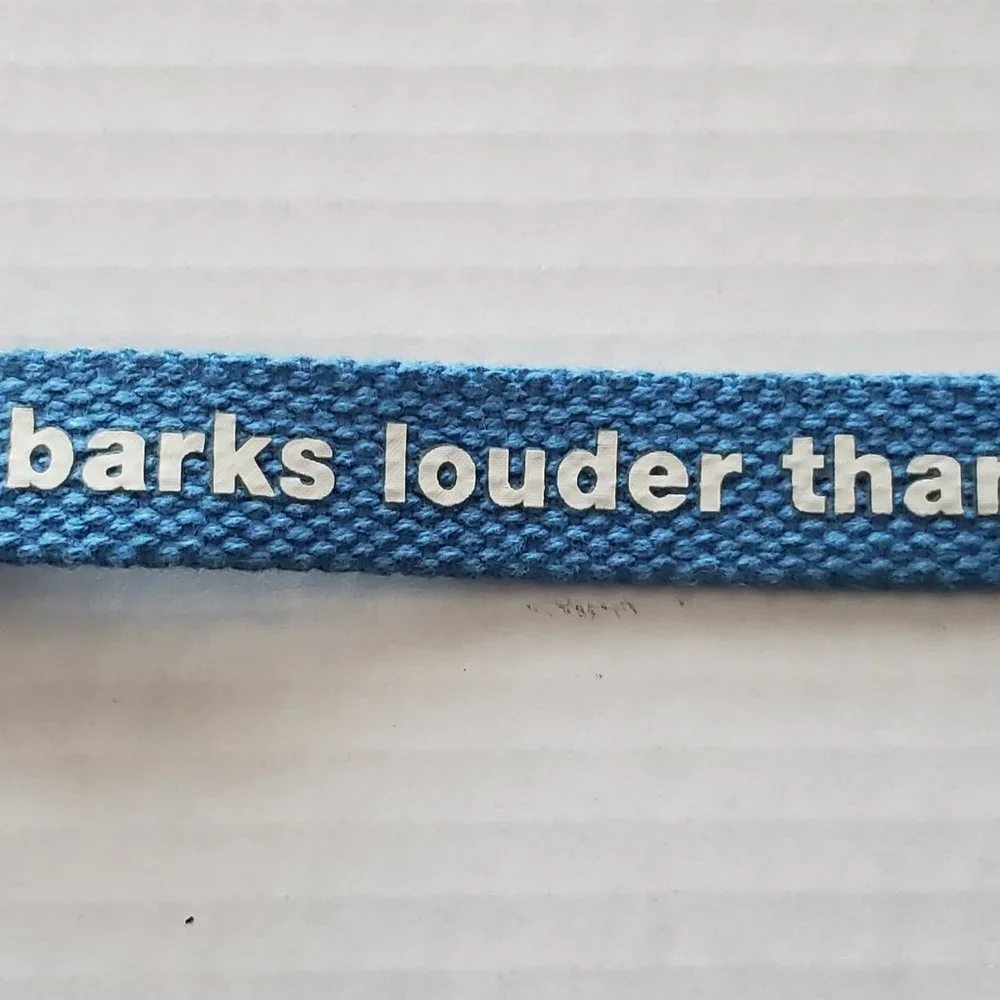 HTF Victoria Secret Pink RARE Dog Collar Vintage 2000's Aqua Blue Sooo Pretty - Picture 10 of 10